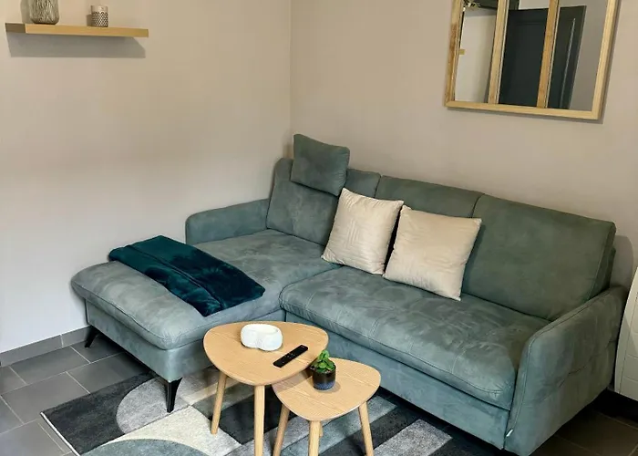 Appartement Cosy Auxerre